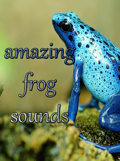 Sounds of frog Screen 3