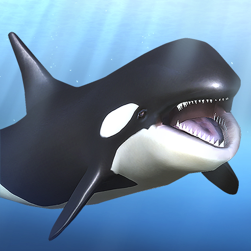 Orca and marine mammals logo