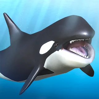 Orca  and marine mammals apk