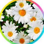 Cover Image of Download Flowers wallpaper for mobile  APK