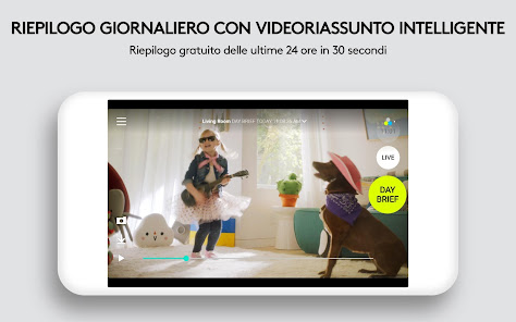 Immagine screenshot