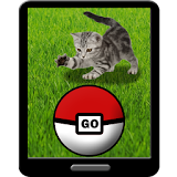 Pocket Kitten GO icon