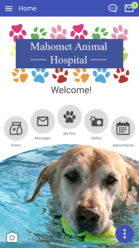 Mahomet Animal Hospital Screenshot 1 - AppWisp.com