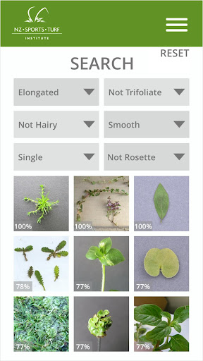 NZSTI Turf App Screen 3
