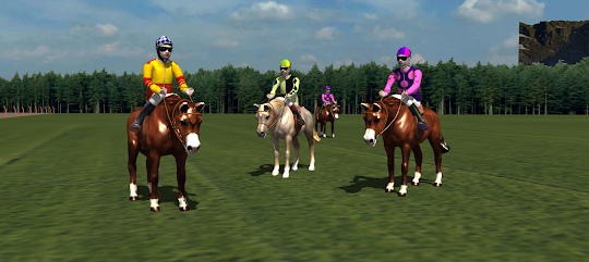 Jockey Horse Race