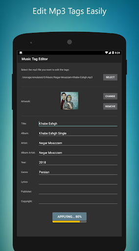 MP3 Tag Editor Screen 3