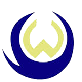 worldvoip icon