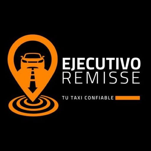 Usuarios Ejecutivo Remisse logo