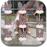 Bunny Pattern Lock Screen icon