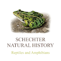 Reptiles and Amphibians of NA