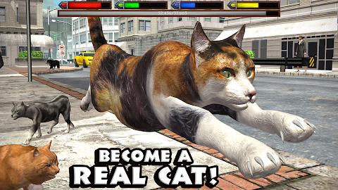 Ultimate Cat Simulatorのおすすめ画像1
