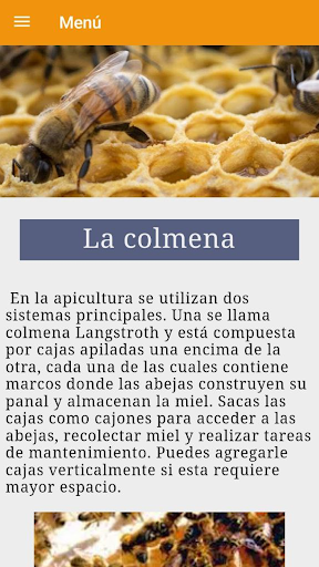 Guía para aprender apicultura