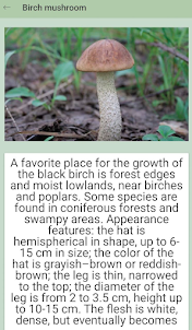 Interesting mushrooms