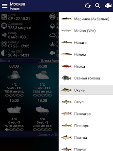 Прогноз клева Screenshot