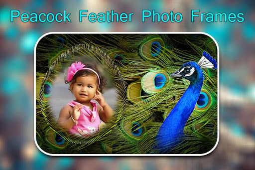 Peacock Feather Photo Frames Screen 2