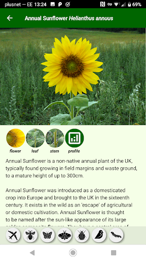 Native Flower UK Screen 2