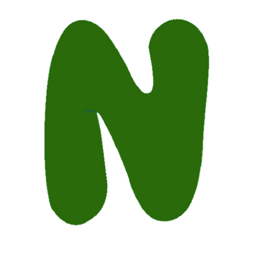 NZassa Store logo