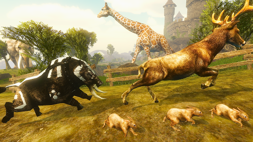 Android application Boar King Life Simulator screenshort