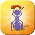 Colony Craft