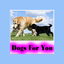 Icon image Dogs For You
