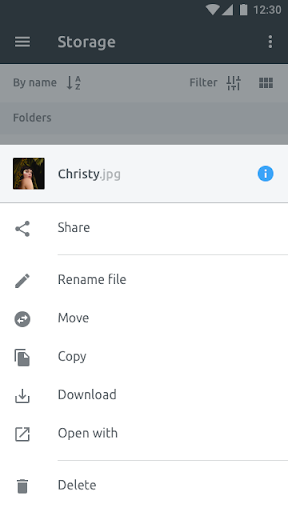 FEX.NET Cloud Storage