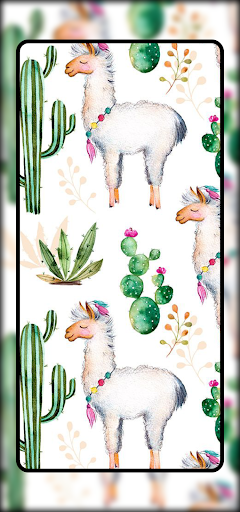 Cute Llama Wallpaper