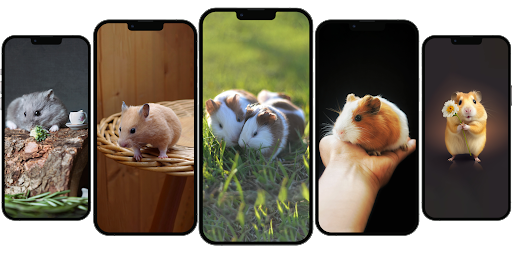 Hamster HQ Wallpaper app Screen 2