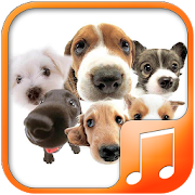 Top 20 Music & Audio Apps Like Dogs Sounds - Best Alternatives