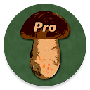 Book of Mushrooms PRO