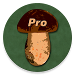 Cover Image of Tải xuống Book of Mushrooms PRO  APK