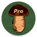 Book of Mushrooms PRO icon