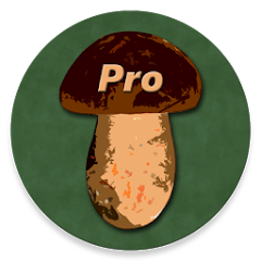 Book of Mushrooms PRO MOD