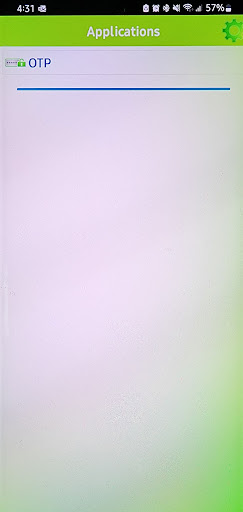 BSP Fiji Soft Token Screen 2