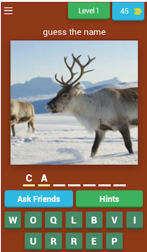 Animals Quiz