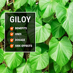 Cover Image of Tải xuống giloy benefits 1 APK