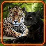 Cover Image of 下载 Jungles Wild Cats  APK