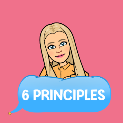 6 Principles of Manipulation logo