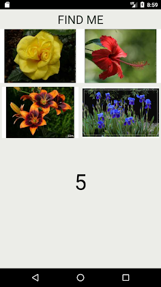 What Kind of Flower Are You ? - Screenshot 3