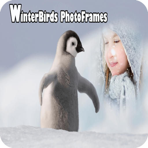 WinterBirds Photo Frames 1.0 Icon