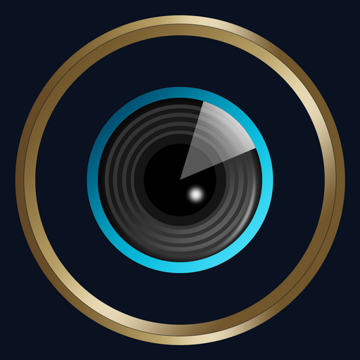 無線LAN DVR4 logo