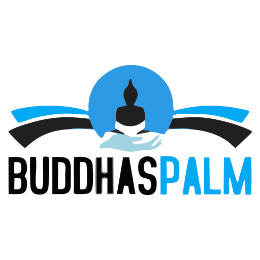 BS Man logo
