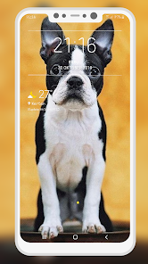 Screenshot 4 Boston Terrier Wallpaper android