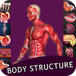 Cover Image of Download Human All Body System Offline  APK
