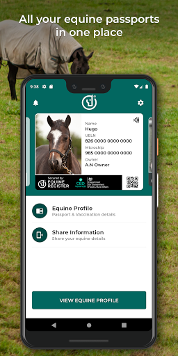 Digital Stable Screen 2
