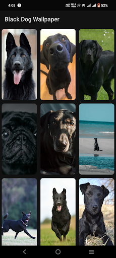 Black Dog Wallpaper Screen 2