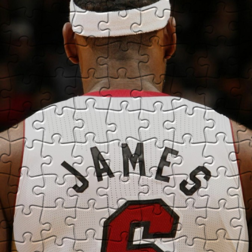 LeBron James Jigsaw Puzzles logo