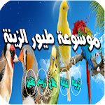 Cover Image of डाउनलोड موسوعة طيور الزينة 1.9 APK