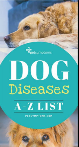 Dog Care GuideDog Health Tips