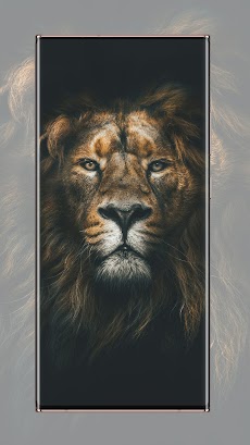 ライオンの壁紙のおすすめ画像2
