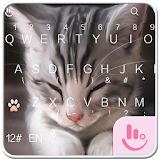 TouchPal Cats Keyboard Theme icon